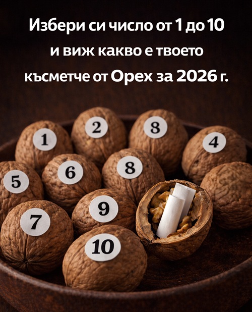 609104518 1308186484681968 4489553049155623021 n