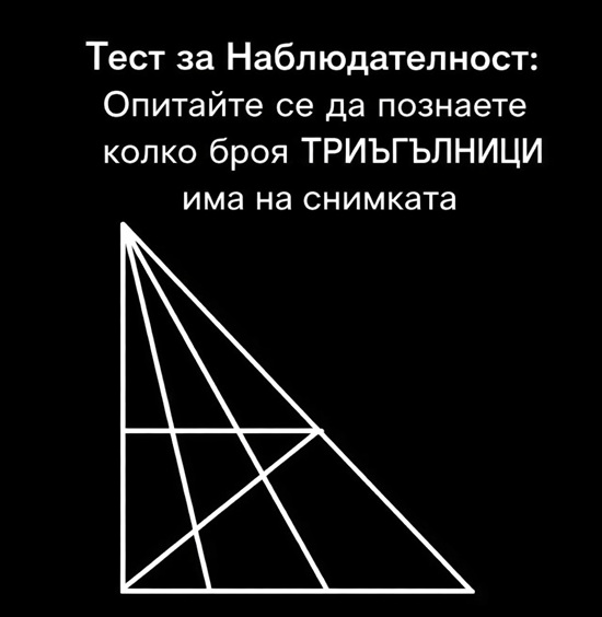 615062445 1317663733734243 7970098012837522096 n