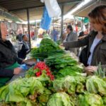 623354114 882750627834170 3394859577865344638 n