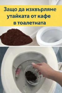 task 01ke7cwadcfyfrfwchva3qwnve 1767627526 img 0