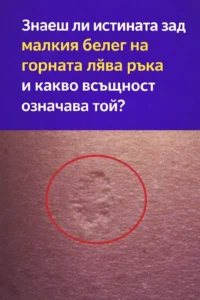 task 01ke7dxp2xe16s2ev233sdbe26 1767628594 img 0