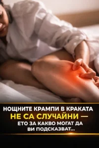 task 01kebyjatkes0bjygdr06e4dq0 1767780294 img 0
