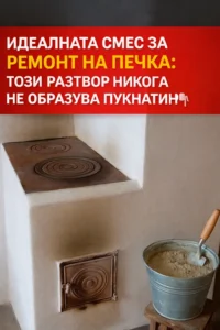 task 01kec52mqwe6r9fsg77hkez0nr 1767787083 img 1