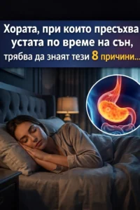 task 01kec5ca7se6cvgbkx61xayz12 1767787388 img 1
