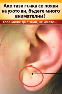 task 01kf11rn6ee1fvyersx7d07d4w 1768488298 img 0