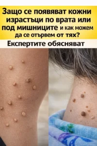 task 01kf1265e9eyttmq9ykt2fd3f1 1768488780 img 1