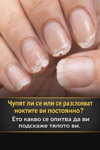 task 01kf12yya9ej0a792ztsxhxeab 1768489553 img 1