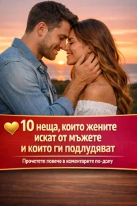 task 01kf3a2zg3e2e9g0vndjwf53py 1768564063 img 0 1