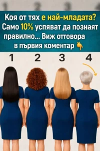 task 01kfjg9mnjedht504fxkpt6cn6 1769073915 img 1