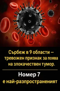 task 01kftr6wfyfv7acy5b0h2jn5qv 1769350656 img 0