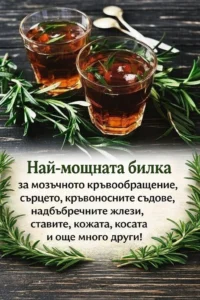 task 01kfxer8awe478gyqfghae5v8g 1769441464 img 0