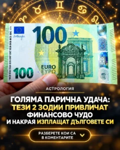 515905e6 bb2b 4c88 a386 cf94fd1d