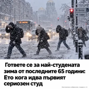 0ad8832c 85fa 41c9 bec8 d0a71df3
