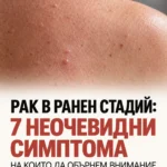 1370aaf3 6577 40ef acf3 0aace6b4