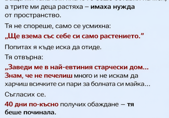 3e8ce3bb 94f0 4e58 bb7e d0d97d6e4371