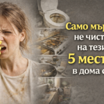 420ad7cf 8ef0 439a 839e be1bf04d05ff