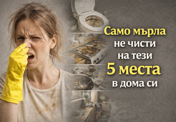 420ad7cf 8ef0 439a 839e be1bf04d05ff