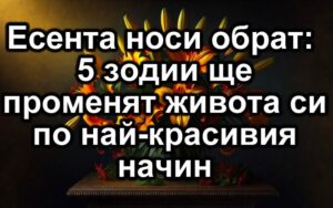 838090002 1420149586928365 1738039937570931024 n