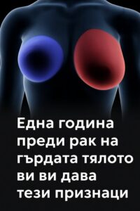 846347500 122196115016792603 3381180814782151507 n