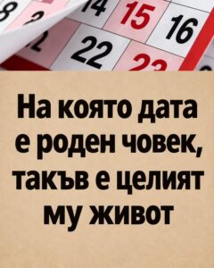 849694555 1003043539478209 2721179253081642467 n