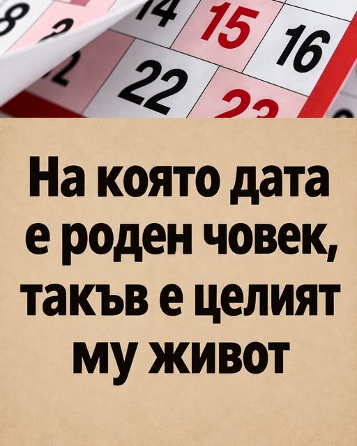 849694555 1003043539478209 2721179253081642467 n
