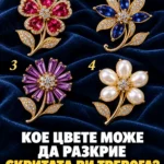 ffda5604 0dc1 480f ac8b 094fe889